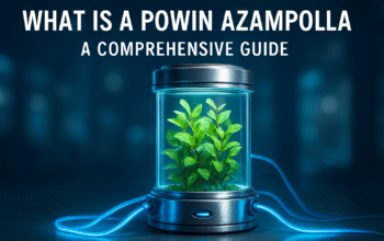 What is a Powin Azampolla